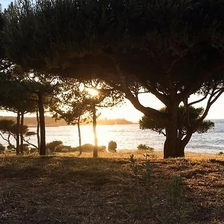 Marine De Sant Ambroggio - Proche Mer- F2 35sol Lumio (Corsica)